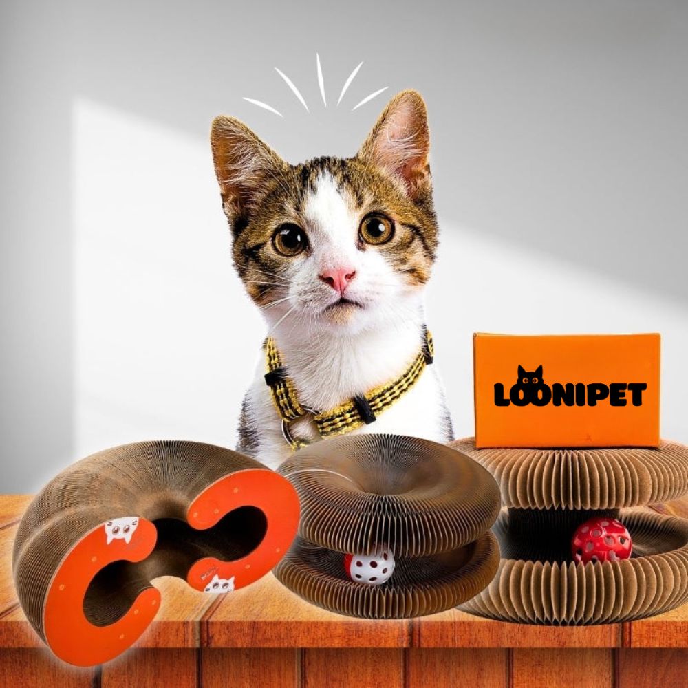 Primicat™ - LOONIPET