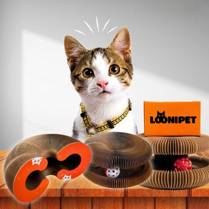 Primicat™ - LOONIPET